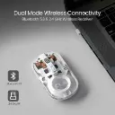 Toad_8_Bluetooth_Mouse_Best_Wireless_Mouse_online_1440x.webp